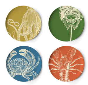 Sealife Dinner Plate S/4