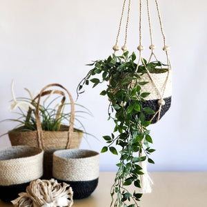 Plant Hanger - Nadu (Set of 2)