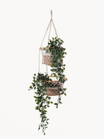 Load image into Gallery viewer, Double Hanging Basket
